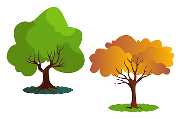 Image showing Two autumn tree vector illustration on white background