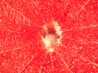 Image showing background from grapefruit