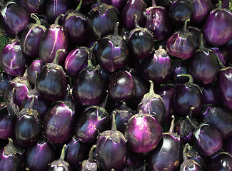 Image showing Background of ripe egg-plants