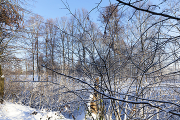 Image showing snow covered trees in the park in winter