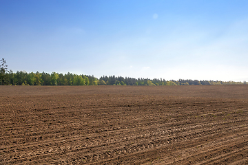 Image showing agricultural field