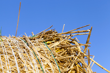 Image showing bale and blue sky