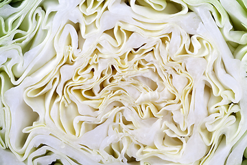 Image showing Cut of young cabbage