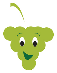Image showing Green grape vector or color illustration