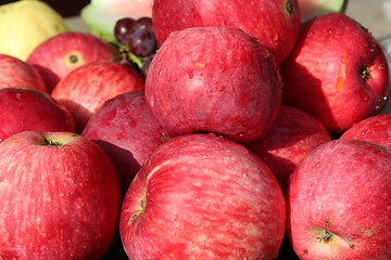 Image showing ripe red apples