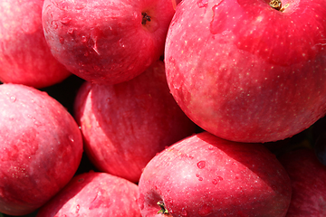 Image showing ripe red apples