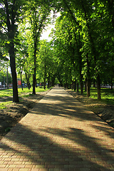 Image showing Beautiful park with many green trees