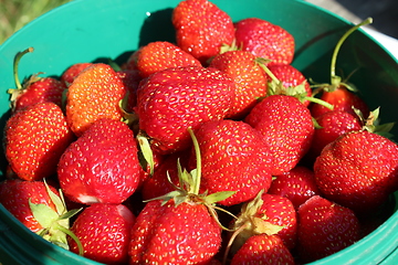 Image showing ripe red strawberries