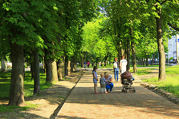 Image showing People have a rest in park with big trees