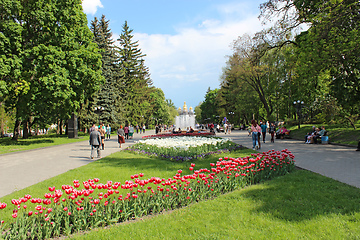 Image showing People have a rest in city park with tulips