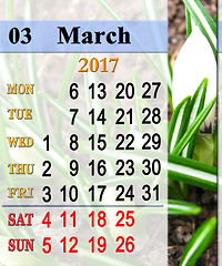 Image showing calendar for March 2017 year with crocuses