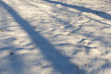 Image showing Shadows in the snow