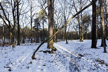 Image showing Snow drifts in winter