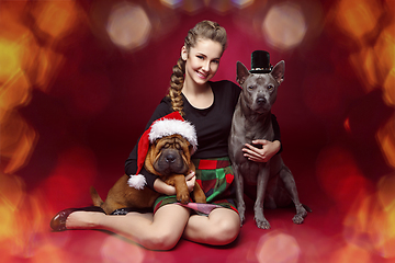 Image showing Pretty girl with dogs in christmas hats