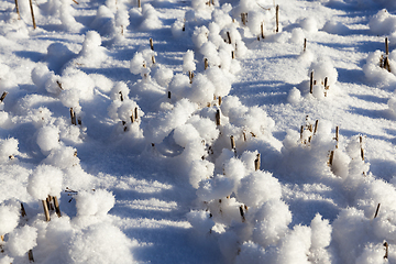 Image showing Snow drifts in winter