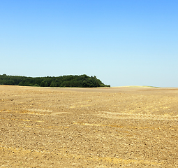 Image showing Plowed soil, a field