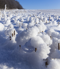 Image showing Snow drifts in winter