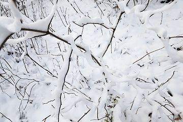 Image showing Snow drifts in winter