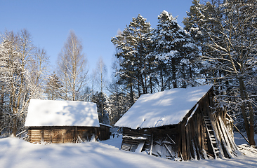 Image showing Wooden buildings in the forest