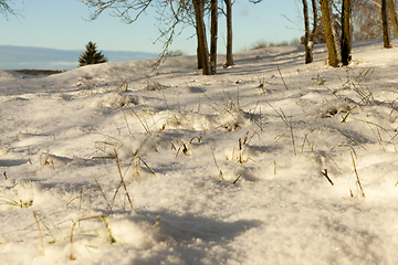 Image showing Winter season. Photo