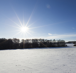 Image showing Snow after snowfall