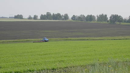 Image showing Blue wheeled tractor plowing a green field