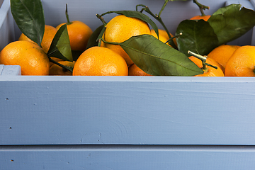 Image showing Fresh tangerines in box with leaves