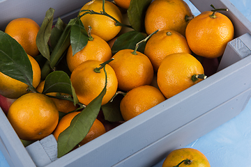 Image showing Fresh tangerines in box with leaves