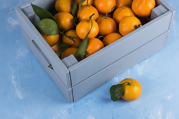 Image showing Fresh tangerines in box with leaves