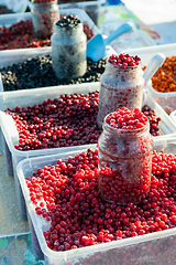 Image showing Frozen red berry fruits
