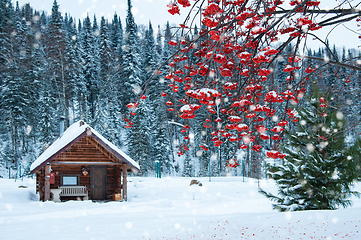 Image showing Winter holiday house in forest.