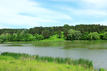 Image showing summer landscape with river and forest