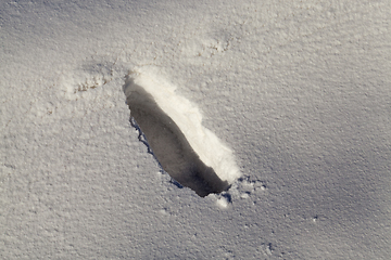 Image showing Footprints of a man