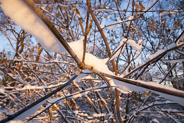 Image showing Snow drifts in winter