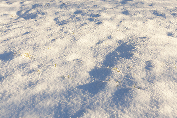 Image showing Snow drifts in winter