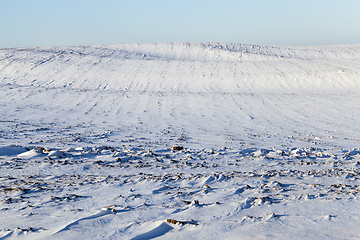 Image showing Snow in winter