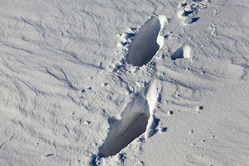 Image showing Snow drifts in winter