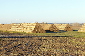 Image showing straw after harvest