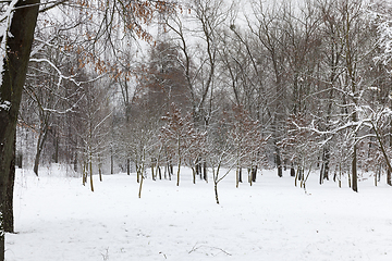 Image showing Snow drifts in winter