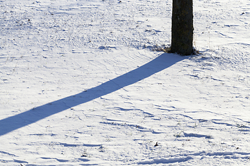 Image showing Shadows in the snow