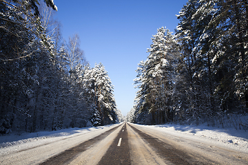 Image showing Trees in winter