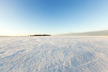 Image showing Photo of snow, close-up