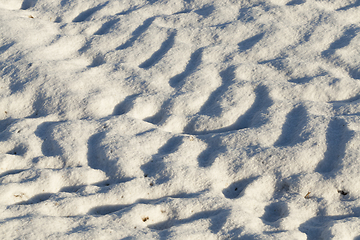 Image showing Traces in the field in winter