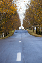 Image showing asphalted road, autumn and fog