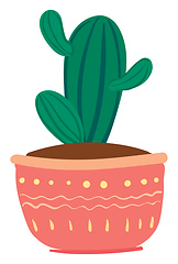 Image showing A lovely striped cactus potted plant with loads of small arms pr