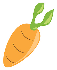 Image showing Carrot a healthy vegetable vector or color illustration