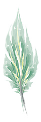 Image showing Green feather painting vector or color illustration