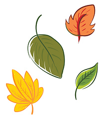 Image showing Four multi-colored cartoon leaves vector or color illustration