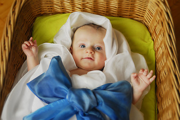 Image showing Baby in basket