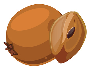 Image showing Orange chico cut in half  cartoon fruit vector illustration on w